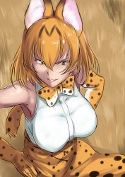 Rule 34 | 10s, 1girl, absurdres, animal ears, animal print, bad id, bad twitter id, bare shoulders, blonde hair, breasts, cat ears, cat tail, gloves, highres, kemono friends, large breasts, looking at viewer, parted lips, sakushaaya (3948aya), serval (kemono friends), short hair, smile, solo, tail, yellow eyes