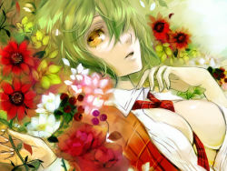 Rule 34 | 1girl, apt, bad id, bad pixiv id, between breasts, breasts, cleavage, clothes between breasts, ermer, female focus, flower, green hair, hair over one eye, kazami yuuka, large breasts, lowres, lying, necktie, on back, open clothes, open shirt, parted lips, plaid, plaid vest, red necktie, shirt, short hair, solo, touhou, upper body, ut (apt), vest, yellow eyes