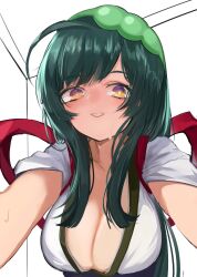 Rule 34 | 1girl, ahoge, blush, breasts, cleavage, commentary request, green hair, grin, highres, kabedon, large breasts, leaning forward, long hair, looking at viewer, medium bangs, naonaonina, pea pod, plunging neckline, pov, shirt, sidelocks, sketch background, smile, solo, touhoku zunko, upper body, voiceroid, white background, white shirt, yellow eyes