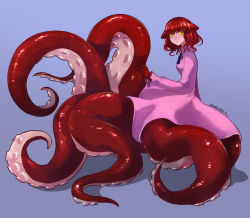 Rule 34 | 1girl, animal ears, blue background, closed mouth, colored skin, dress, from side, highres, long sleeves, looking at viewer, looking to the side, medium hair, monster girl, original, pink dress, red hair, red skin, ruteko (ruko220), scylla, simple background, solo, suction cups, tentacles, twitter username, yellow eyes