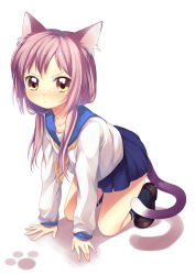 Rule 34 | 1girl, all fours, animal ears, bad id, bad pixiv id, black socks, brown eyes, cat ears, cat tail, frown, highres, lilks, loafers, long hair, low twintails, namori, original, pink hair, school uniform, serafuku, shoes, socks, solo, tail, twintails