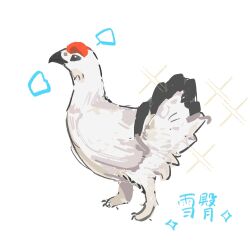 Rule 34 | animal focus, beak, bird, chicken, chinese commentary, chinese text, commentary request, no humans, original, simple background, sparkle, translation request, white background, zhanghemankong