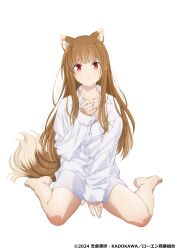 Rule 34 | 1girl, absurdres, animal ears, bare legs, barefoot, between legs, blush, brown hair, closed mouth, collarbone, collared shirt, commentary request, copyright notice, frown, hand between legs, highres, holo, long sleeves, official art, red eyes, shirt, simple background, sitting, solo, spice and wolf, tail, wariza, white background, white shirt, wolf ears, wolf girl, wolf tail