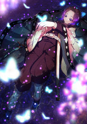 Rule 34 | 1girl, absurdres, arm up, bad id, bad pixiv id, black legwear, blurry, blurry foreground, bug, butterfly, butterfly hair ornament, butterfly on hand, cherry blossoms, from above, hair intakes, hair ornament, haori, high-waist pants, highres, huge filesize, insect, jacket, japanese clothes, kimetsu no yaiba, kochou shinobu, kuroko (uver-world1009), long sleeves, lying, no pupils, on back, pants, purple eyes, purple hair, purple jacket, purple pants, sheath, short hair, solo, tabi, water surface