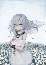 Rule 34 | 1girl, animal, bare shoulders, closed mouth, commentary request, cowboy shot, cuffs, dress, expressionless, flower, grey eyes, grey hair, grey theme, highres, holding, holding animal, isekai joucho, kaminari kzy, kamitsubaki studio, long hair, looking at viewer, rabbit, shackles, sleeveless, sleeveless dress, solo, standing, virtual youtuber, white background, white dress, white flower, white rabbit (animal), wind