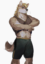 Rule 34 | 1boy, animal ears, bara, bare arms, black shorts, blonde hair, blush, body fur, brown fur, bulge, clothes lift, dog boy, dog ears, dog tail, facial hair, feet out of frame, furry, furry male, goatee, highres, looking at viewer, male focus, midriff peek, muscular, muscular male, navel, navel hair, original, pectoral cleavage, pectorals, seato-hao, shirt lift, short hair, shorts, sleeveless, snout, solo, sweat, tail, thick eyebrows, thick thighs, thighs, tight clothes