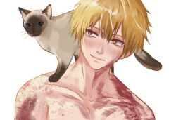 Rule 34 | 1boy, animal, animal on shoulder, blonde hair, blood, blood on chest, cat, cat on shoulder, chainsaw man, collarbone, denji (chainsaw man), highres, looking at another, looking to the side, male focus, short hair, simple background, smile, taestymaee, topless male, white background