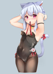Rule 34 | 1girl, animal ears, armpits, bare shoulders, bell, black collar, black leotard, black pantyhose, blush, bow, braid, breasts, cat ears, cat girl, cat tail, closed mouth, collar, commentary request, covered navel, cropped legs, grey background, grey hair, hair between eyes, hands up, highres, jingle bell, kittysuit, leotard, mouth hold, neck bell, nontraditional playboy bunny, original, pantyhose, playboy bunny, purple eyes, red bow, red ribbon, ribbon, ribbon in mouth, simple background, small breasts, solo, sora (silent square), strapless, strapless leotard, tail, tail bow, tail ornament, tail raised, tying hair