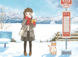 Rule 34 | 1girl, bag, bare tree, bench, blunt bangs, blush, book, braid, brown eyes, brown hair, bus stop, cat, coat, fence, footprints, hands up, holding, holding book, loafers, long hair, looking to the side, mittens, mountain, original, pantyhose, plant, pleated skirt, reading, scarf, shoes, shoulder bag, skirt, smile, snow, snowing, solo, tokoyu, tree, twin braids, very long hair, winter clothes
