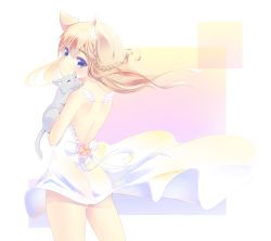Rule 34 | 1girl, absurdres, akira b, animal ears, back, backless dress, backless outfit, bare back, bare shoulders, blonde hair, blush, braid, cat, cat ears, dress, highres, looking back, original, short hair, solo, white dress, white wings, wings