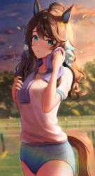 Rule 34 | 1girl, absurdres, ahoge, animal ears, blurry, blurry background, blush, breasts, brown hair, buruma, cloud, daring tact (umamusume), green eyes, gym uniform, highres, horse ears, horse girl, horse tail, kashmir 0808, leaf, lens flare, long hair, looking at viewer, medium breasts, open mouth, outdoors, revision, shirt, short sleeves, solo, standing, sunset, sweat, tail, towel, towel around neck, tree, umamusume, white shirt
