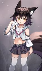 Rule 34 | 1girl, animal, animal ear fluff, animal ears, animal on shoulder, black hair, black skirt, brown eyes, cat, closed mouth, commentary, crop top, detached sleeves, drawstring, fox ears, fox girl, fox tail, grey jacket, hair between eyes, hand up, highres, hood, hood down, hooded jacket, jacket, large tail, long sleeves, looking at viewer, miya (miyaruta), navel, open clothes, open jacket, original, pleated skirt, shirt, skirt, solo, tail, thighhighs, white cat, white shirt, white sleeves, white thighhighs, wide sleeves