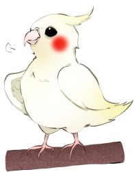 Rule 34 | animal, bird, black eyes, blush, dokudokudoku, no humans, original, simple background, standing, white background, wings
