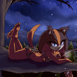 Rule 34 | 1girl, animal ears, animal nose, areola slip, blue eyes, boomerang, branch, breasts, breath, fangs, forest, furry, highres, long hair, low-tied long hair, low twintails, nature, night, night sky, nipples, no humans, plague of gripes, sky, sonic (series), sticks the badger, tail, tattered clothes, twintails