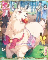 Rule 34 | animal focus, apple, bag, bug, butterfly, card (medium), character name, child, cygames, extra, food, fruit, handbag, insect, lima (princess connect!), llama, official art, people, princess connect!, ribbon, yellow eyes