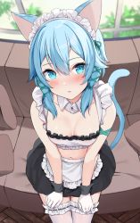 Rule 34 | 1girl, alternate costume, animal ears, apron, bare arms, bare shoulders, black skirt, blue eyes, blue hair, blush, breasts, cat ears, cat girl, cat tail, collarbone, couch, crop top, detached collar, enmaided, frilled shirt, frills, from above, gloves, green ribbon, hair between eyes, hair over shoulder, hair ribbon, hands on own thighs, kaetzchen, long hair, looking at viewer, looking up, maid, maid apron, maid headdress, medium breasts, midriff, miniskirt, navel, on couch, parted lips, ribbon, shirt, sinon, sinon (sao-alo), sitting, skirt, sleeveless, sleeveless shirt, solo, stomach, sword art online, tail, thighhighs, waist apron, white gloves, white shirt, white thighhighs, zettai ryouiki