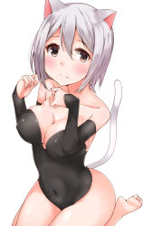 Rule 34 | 1girl, animal ears, arm warmers, bad id, bad pixiv id, bare legs, bare shoulders, blush, breasts, brown eyes, cat ears, cat tail, closed mouth, collarbone, covered erect nipples, covered navel, fang, fang out, highres, kittysuit, knees together feet apart, leotard, looking at viewer, medium breasts, nontraditional playboy bunny, okomeito, original, paw pose, short hair, silver hair, simple background, sitting, smile, solo, strapless, strapless leotard, tail, tooth, wariza, white background