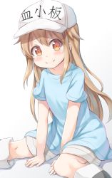 Rule 34 | 10s, 1girl, between legs, black footwear, blue shirt, blush, boots, brown eyes, character name, closed mouth, clothes writing, commentary request, flat cap, gradient background, grey background, grey shorts, hand between legs, hat, hataraku saibou, highres, keiran (ryo170), knee boots, light brown hair, long hair, platelet (hataraku saibou), shirt, short shorts, short sleeves, shorts, smile, solo, very long hair, white background, white hat