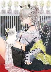 Rule 34 | 1girl, animal, bare shoulders, black skirt, cat, commentary request, crop top, eyebrows hidden by hair, green eyes, grey hair, hair over one eye, horns, knees up, long hair, long sleeves, looking at viewer, midriff, mouth hold, navel, off-shoulder shirt, off shoulder, original, pleated skirt, see-through, shirt, skirt, sleeves past wrists, solo, twintails, white cat, white shirt, yadapot