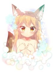 Rule 34 | 10s, 1girl, :&lt;, animal ears, blonde hair, blush, collarbone, covering privates, covering breasts, ezo red fox (kemono friends), fox ears, fox tail, jpeg artifacts, kemono friends, long hair, looking at viewer, mitsumomo mamu, nude, orange eyes, snowflakes, solo, tail, upper body