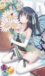 Rule 34 | 1girl, absurdres, bare shoulders, black hair, book, breasts, bug, butterfly wings, cleavage, cropped, elbow gloves, fairy, flower, gloves, hair ribbon, highres, insect wings, jewelry, long hair, looking at viewer, mini person, minigirl, necklace, original, panties, peace keeper daisy, ribbon, scan, shining (series), sitting, small breasts, smile, solo, thighhighs, tony taka, two side up, underwear, white thighhighs, wings