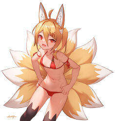 Rule 34 | 1girl, absurdres, animal ear fluff, animal ears, arpeggio kaga, bikini, black thighhighs, blonde hair, breasts, dress, fox ears, fox girl, fox tail, hair between eyes, highres, looking at viewer, multiple tails, open mouth, original, red bikini, red eyes, short hair, simple background, small breasts, solo, standing, swimsuit, tail, thighhighs, thighs, white background