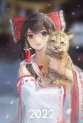 Rule 34 | 1girl, 2022, :d, absurdres, animal, bad id, bad pixiv id, blurry, blurry background, bow, brown eyes, brown hair, chinese new year, chinese zodiac, hair bow, hakurei reimu, highres, holding, holding animal, japanese clothes, looking at viewer, miko, open mouth, outdoors, sketch, smile, snowing, solo, tiger, touhou, white sleeves, year of the tiger, zoe (z o e 7)