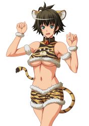 Rule 34 | 1girl, animal ears, animal print, bad id, bad pixiv id, bell, neck bell, blue eyes, breasts, brown hair, collar, fang, large breasts, looking at viewer, midriff, open mouth, original, paw print, shanaminami, short hair, shorts, solo, tail, tiger ears, tiger print, tiger tail, transparent background, underboob