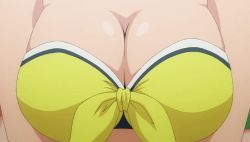 Rule 34 | animated, animated gif, bikini, bouncing breasts, breasts, cleavage, large breasts, lowres, screencap, siesta (zero no tsukaima), swimsuit, zero no tsukaima