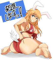 Rule 34 | 1girl, animal ears, artist request, ass, bikini, blue eyes, bra, breasts, charlotte e. yeager, collarbone, curvy, feet, full body, highres, huge ass, large breasts, long hair, looking at viewer, open mouth, orange hair, rabbit ears, red bikini, red bra, sitting, strike witches, swimsuit, tail, teeth, underwear, world witches series