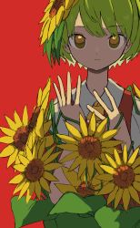 Rule 34 | 1girl, ascot, closed mouth, collared shirt, flower, green hair, hair flower, hair ornament, highres, kazami yuuka, leaf, looking at viewer, neruzou, plant, red background, red eyes, red vest, shirt, short hair, short sleeves, solo, sunflower, touhou, upper body, vest, vines, white shirt, yellow ascot