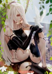 Rule 34 | 1girl, android, armlet, bare shoulders, bird, bird on hand, black footwear, black gloves, black shorts, dirty, dove, elbow gloves, flower, gloves, hair over one eye, highres, joints, leg up, long hair, magion02, midriff, navel, nier (series), nier:automata, outdoors, pale skin, robot joints, shorts, sitting, tank top, white hair, a2 (nier:automata)