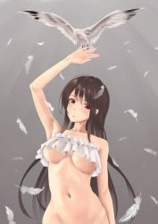 Rule 34 | 1girl, animal, arm at side, arm up, armpits, bird, blush, breasts, brown hair, collarbone, commentary request, crop top, eyes visible through hair, feathers, frills, groin, head tilt, highres, large breasts, long hair, looking at viewer, navel, no bra, original, out-of-frame censoring, red eyes, rure, simple background, solo, standing, stomach, underboob, very long hair