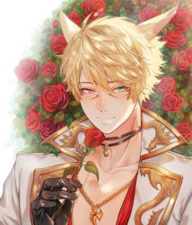 Rule 34 | 1boy, animal ear fluff, animal ears, aqua eyes, bad id, bad pixiv id, black gloves, blonde hair, blush, cat ears, chain, chain necklace, choker, closed mouth, eyelashes, facial mark, final fantasy, final fantasy xiv, floral background, flower, gloves, gold trim, hand up, heterochromia, highres, holding, holding flower, jewelry, let o0, looking at viewer, male focus, miqo&#039;te, necklace, pendant, portrait, purple eyes, red flower, red rose, rose, short hair, slit pupils, smile, solo, warrior of light (ff14), white background