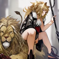 Rule 34 | 1girl, absurdres, animal, animal ears, arknights, black footwear, black jacket, black nails, breasts, brown eyes, brown hair, cleavage, commentary, fur trim, highres, holding, jacket, large breasts, lion, lion ears, long hair, looking at viewer, nail polish, ponytail, scar, shirt, shoes, short shorts, shorts, siege (arknights), sitting, sitting on animal, solo, yoshio (55level)