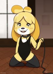 Rule 34 | 1girl, :3, animal crossing, animal ears, artist name, black eyes, black leotard, black thighhighs, blonde hair, blush stickers, buck teeth, collar, collarbone, covered navel, dated, dog ears, dog girl, female focus, flat chest, full body, furry, furry female, gluteal fold, hair tie, hand up, happy, highres, holding, indoors, isabelle (animal crossing), kneeling, leash, leotard, looking up, nintendo, open mouth, short hair, signature, smile, solo, spread legs, teeth, thighhighs, topknot, watermark, window, zeklullaby