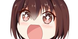 Rule 34 | + +, 10s, 1girl, brown eyes, brown hair, close-up, hair between eyes, hyuuga (kancolle), kantai collection, looking at viewer, nahaki, no nose, open mouth, portrait, short hair, simple background, sin-poi, solo, sparkling eyes, symbol-shaped pupils, white background