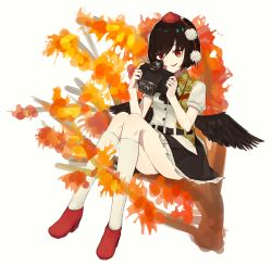 Rule 34 | 1girl, absurdres, autumn, autumn leaves, black hair, black skirt, black wings, camera, floral print, frilled skirt, frills, hat, highres, in tree, kneehighs, mo mo kaze, pom pom (clothes), red eyes, red footwear, scarf, shameimaru aya, shirt, shoes, short hair, simple background, sitting, sitting in tree, skirt, smile, socks, solo, thighs, tokin hat, touhou, tree, white background, white shirt, white socks, wings