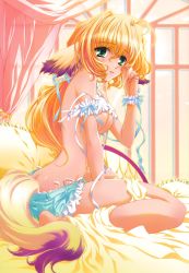 Rule 34 | 1girl, absurdres, animal ears, arched back, bed, blanket, blonde hair, breasts, character request, dog ears, dog tail, green eyes, highres, large breasts, long hair, no tail hole, pillow, ribbon, solo, sugiyama genshou, tail, underboob, wrist cuffs