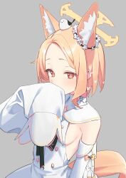 Rule 34 | 1girl, absurdres, animal, animal ears, animal on head, bird, blonde hair, blue archive, blush, breasts, buttons, commentary, covering own mouth, dress, ear flower, flower, forehead, fox ears, fox girl, fox tail, grey background, halo, hiding, highres, korean commentary, light blush, long sleeves, multicolored eyes, off shoulder, on head, orange eyes, parted bangs, ribbon, seia (blue archive), short hair, sideboob, simple background, sleeves past fingers, sleeves past wrists, small breasts, solo, syhan, tail, white dress