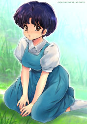 Rule 34 | 1girl, :&lt;, blouse, blue dress, blue hair, blush, breasts, brown eyes, dress, female focus, grass, hands on lap, looking at viewer, looking to the side, medium breasts, nose blush, on ground, outdoors, oyaman, parted lips, pinafore dress, puffy short sleeves, puffy sleeves, ranma 1/2, shirt, short hair, short sleeves, sitting, sleeveless dress, socks, solo, tendou akane, v arms, wariza, watermark, web address, white shirt, white socks
