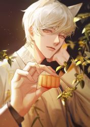 Rule 34 | 1boy, animal ears, cake, food, fox boy, fox ears, gyxyzz, holding, holding cake, holding food, light and night love, long sleeves, looking at viewer, male focus, mid-autumn festival, mooncake, qi sili, short hair, solo, white hair, yellow eyes