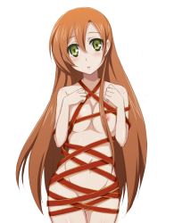 Rule 34 | 1girl, :o, blush, breasts, brown hair, code geass, green eyes, groin, long hair, looking at viewer, naked ribbon, navel, nipples, pussy juice, ribbon, shirley fenette, solo, sorano (12gou), white background