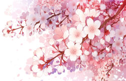 Rule 34 | branch, cherry blossoms, close-up, commentary request, flower, no humans, original, petals, pink flower, pink petals, simple background, white background, white flower, white petals, wind