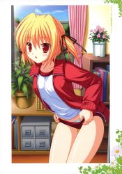 Rule 34 | 1girl, absurdres, blonde hair, blush, buruma, clover point, curtains, frilled panties, frills, gym uniform, highres, indoors, jacket, long sleeves, looking at viewer, open clothes, open jacket, panties, plant, potted plant, red hair, shelf, short twintails, takanashi yaya, tareme, track jacket, twintails, underwear, undressing, window, yuyi