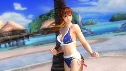 Rule 34 | 3d, beach, bikini, breasts, dead or alive, dead or alive 5, highres, kasumi (doa), large breasts, midriff, ocean, official art, official wallpaper, palm tree, swimsuit, tecmo, tree, wallpaper