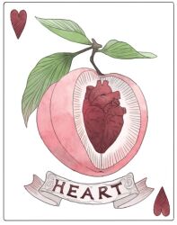 Rule 34 | ace (playing card), ace of hearts, banner, bity3155660241, card, card (medium), chinese commentary, commentary request, english text, food, fruit, fruit focus, heart, heart (organ), leaf, no humans, original, peach, playing card, simple background, white background