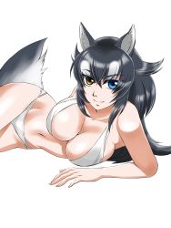 Rule 34 | 1girl, animal ears, bikini, black hair, blue eyes, breasts, cleavage, closed mouth, commentary, commentary request, grey wolf (kemono friends), groin, heterochromia, highres, kemono friends, large breasts, looking at viewer, lying, multicolored hair, navel, on side, saijouji reika, simple background, solo, swimsuit, tail, two-tone hair, white background, white bikini, white hair, wolf ears, wolf girl, wolf tail, yellow eyes
