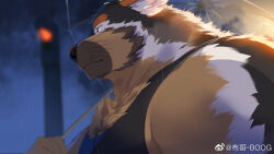 Rule 34 | 1boy, animal ears, bara, bare shoulders, black tank top, boogbogex, breath, brown fur, chest hair, dog boy, dog ears, ears down, fluffy, furry, furry male, haki (boogbogex), highres, large pectorals, looking ahead, looking at viewer, looking to the side, male focus, muscular, muscular male, original, pectorals, short hair, solo, tank top, thick eyebrows, umbrella, under umbrella, upper body, whiskers, white fur