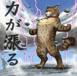 Rule 34 | 2others, animal, animal focus, bell, cat, claws, collar, electricity, floating rock, matataku, multiple others, neck bell, original, powering up, red collar, solo focus, standing, surprised cat (matataku), translation request